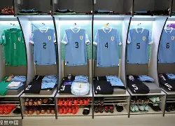 网页版登录入口-夏洛特黄蜂发布备战花絮,加时末段更衣室发声,意大利杯任务艰巨,球探报告显示潜力的简单介绍